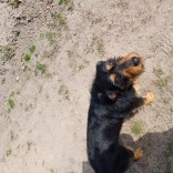Powiększ zdjęcie 