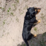 Powiększ zdjęcie 
