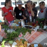 Powiększ zdjęcie Forum kobiet aktywnych